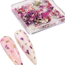 Kuivatatud lilled karbis nr. 2